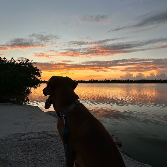 Meet your Posher, Lindsay - Picture 1 of 1